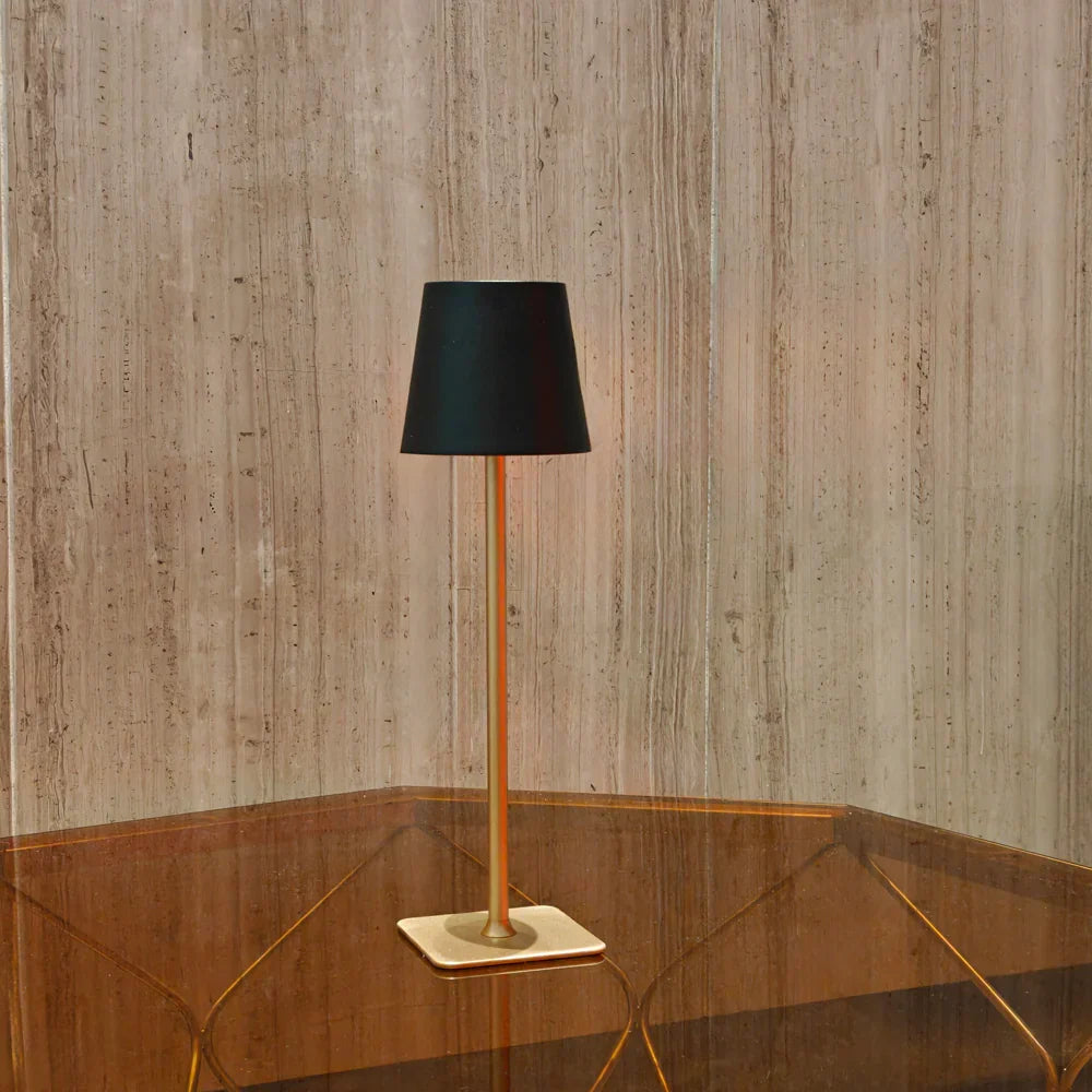 Portable LED lamp, cordless and dimmable, great for patio or living room.