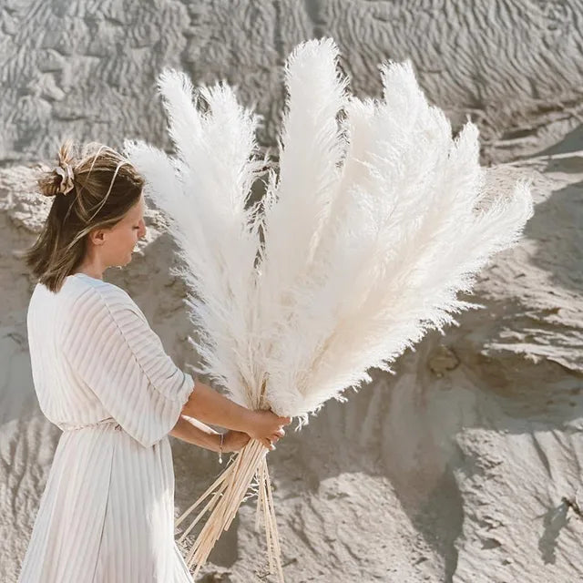 Fluffy dried natural pampas grass plumes in a vase. Perfect boho home decor & floral arrangements.