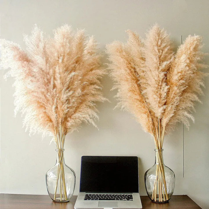 Bundle of natural fluffy dried pampas grass plumes, ready for boho floral arrangements or home accents.