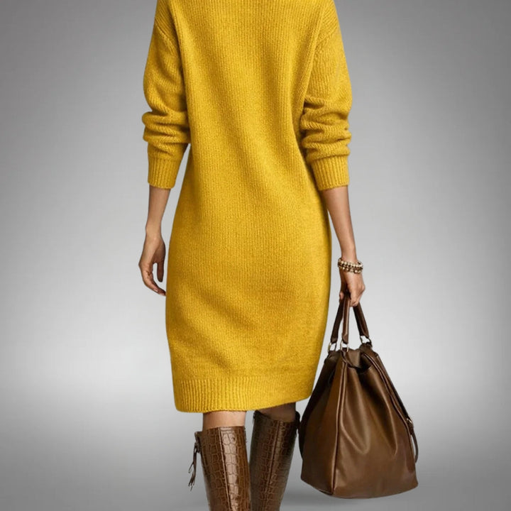 Women's high-neck midi dress, part of the Arabella Collection, offering versatile elegant style.