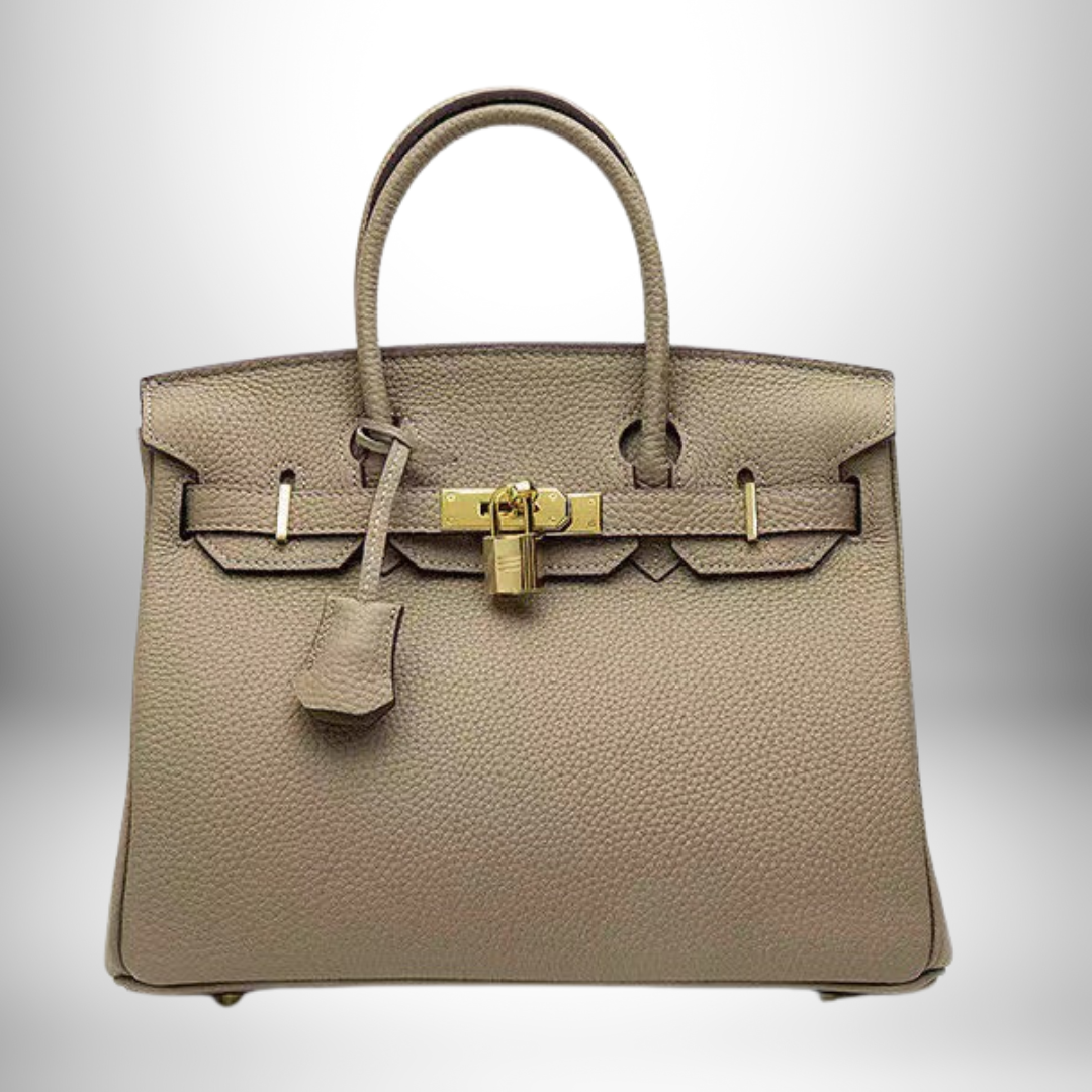 Classic women's elegant shoulder bag, embossed leather finish, and golden clasps.