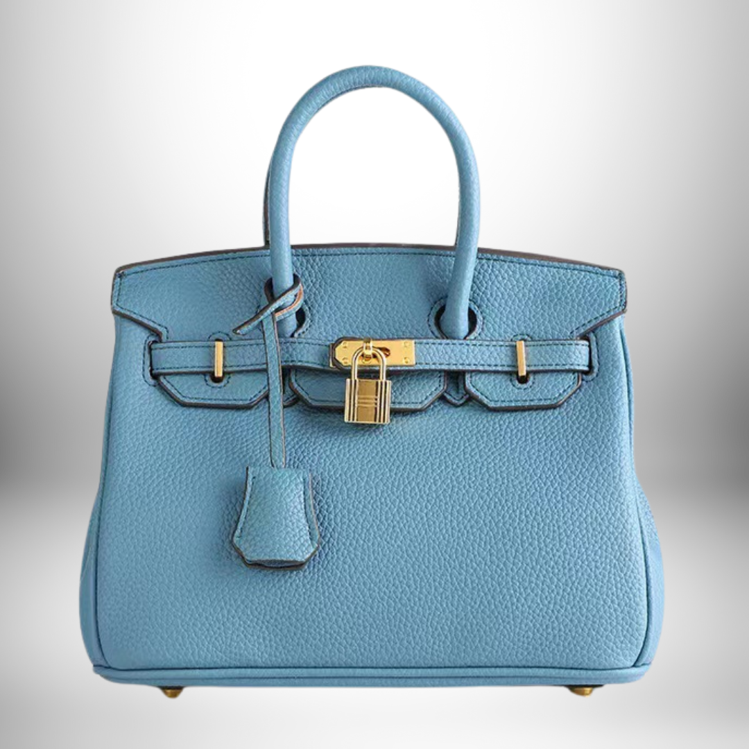 Beautiful women's luxury leather handbag, embossed texture, and glamorous gold accents.
