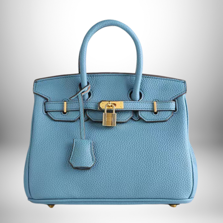 Beautiful women's luxury leather handbag, embossed texture, and glamorous gold accents.