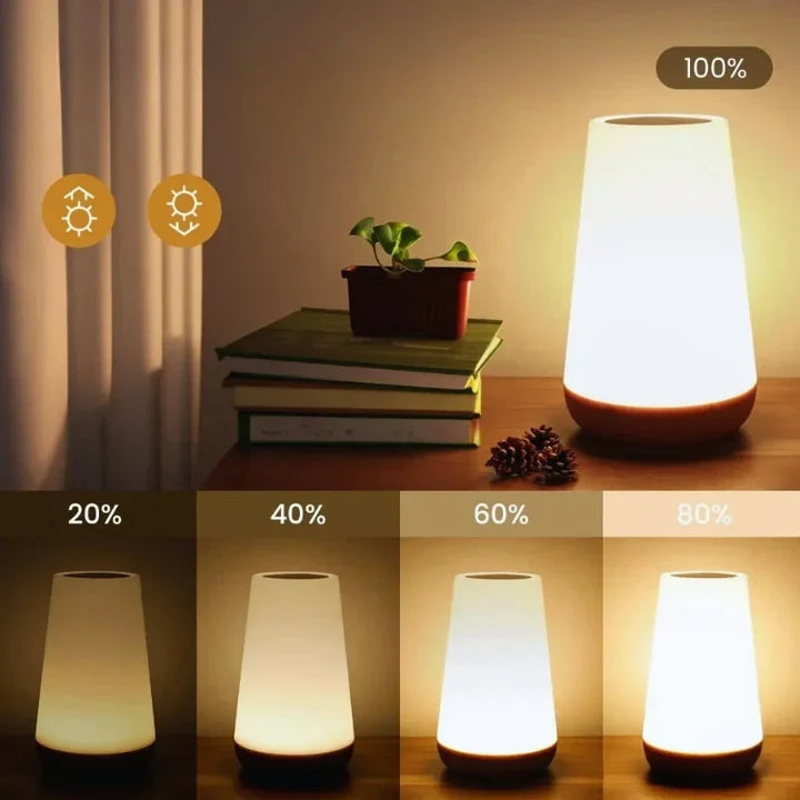 Rechargeable RGB LED bedside lamp with dimmable touch control and remote for cozy home decor.