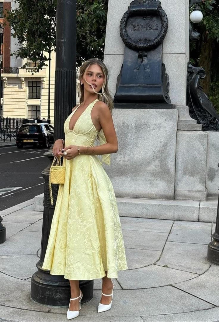 Elegant Embroidered V-Neck Sleeveless Dress