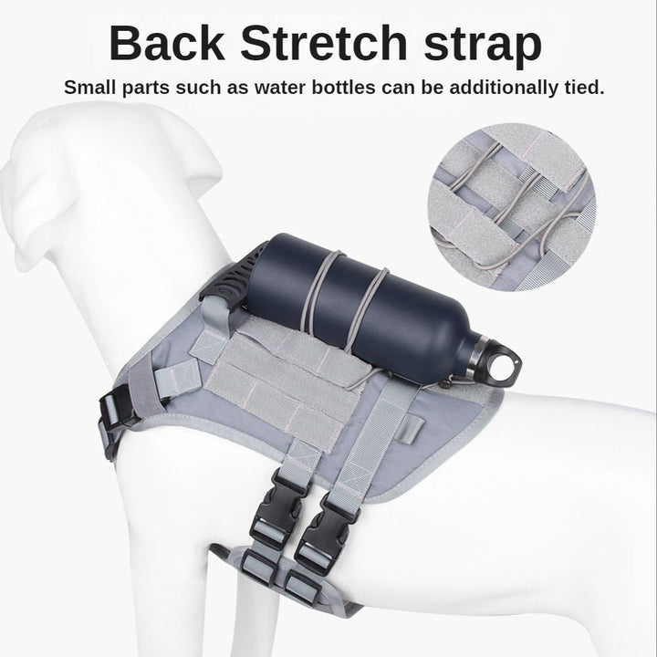 Large dog wearing tactical harness on a trail, sturdy pet gear for active outdoor dogs & reliable training.
