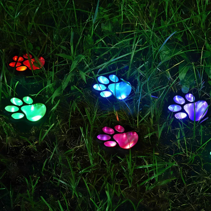 Cool white LED paw print solar path lights, waterproof for charming garden & yard landscape decor.