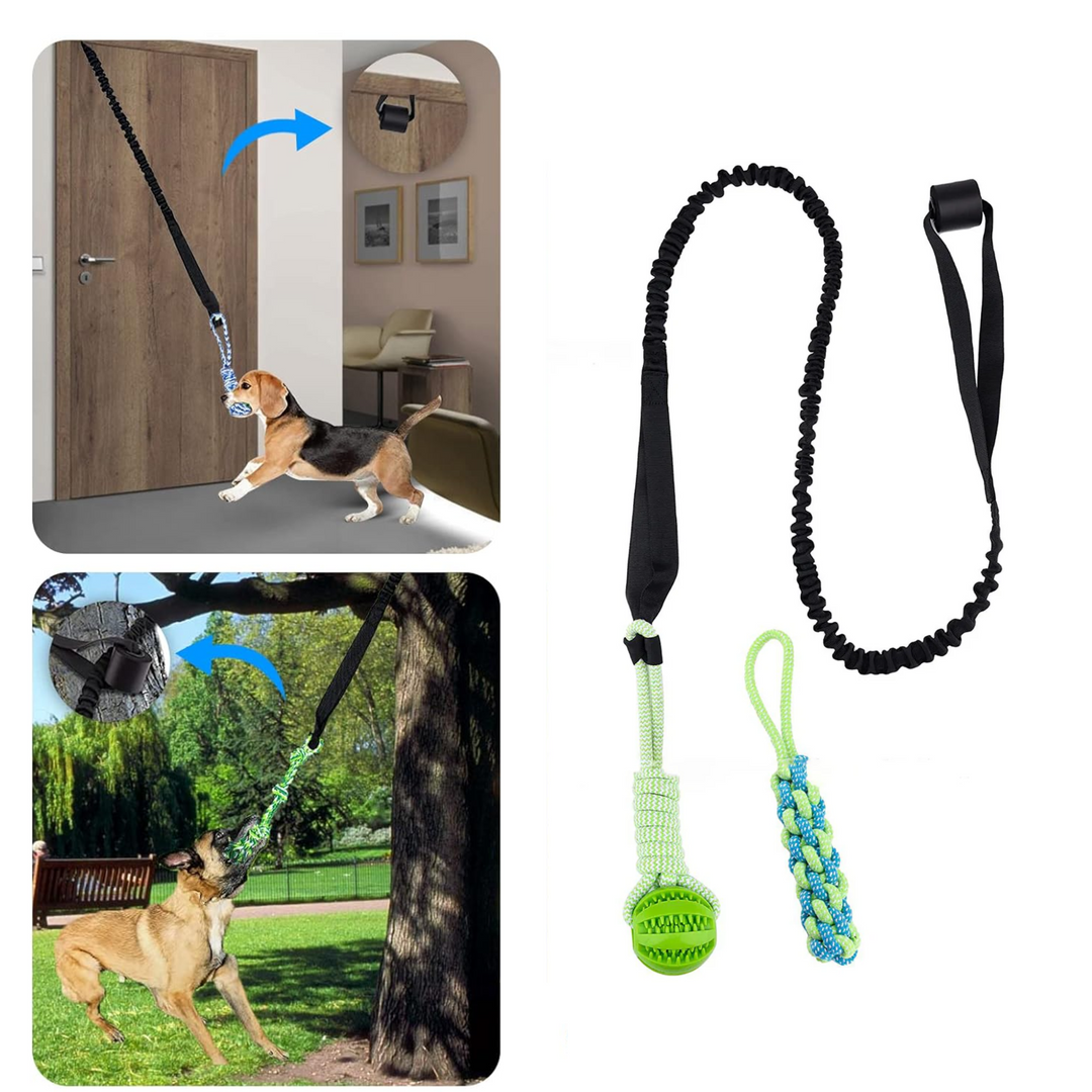 Braided rope chew toy for dogs, perfect for puppy teething & strong chewers. Durable pet toy for active play.