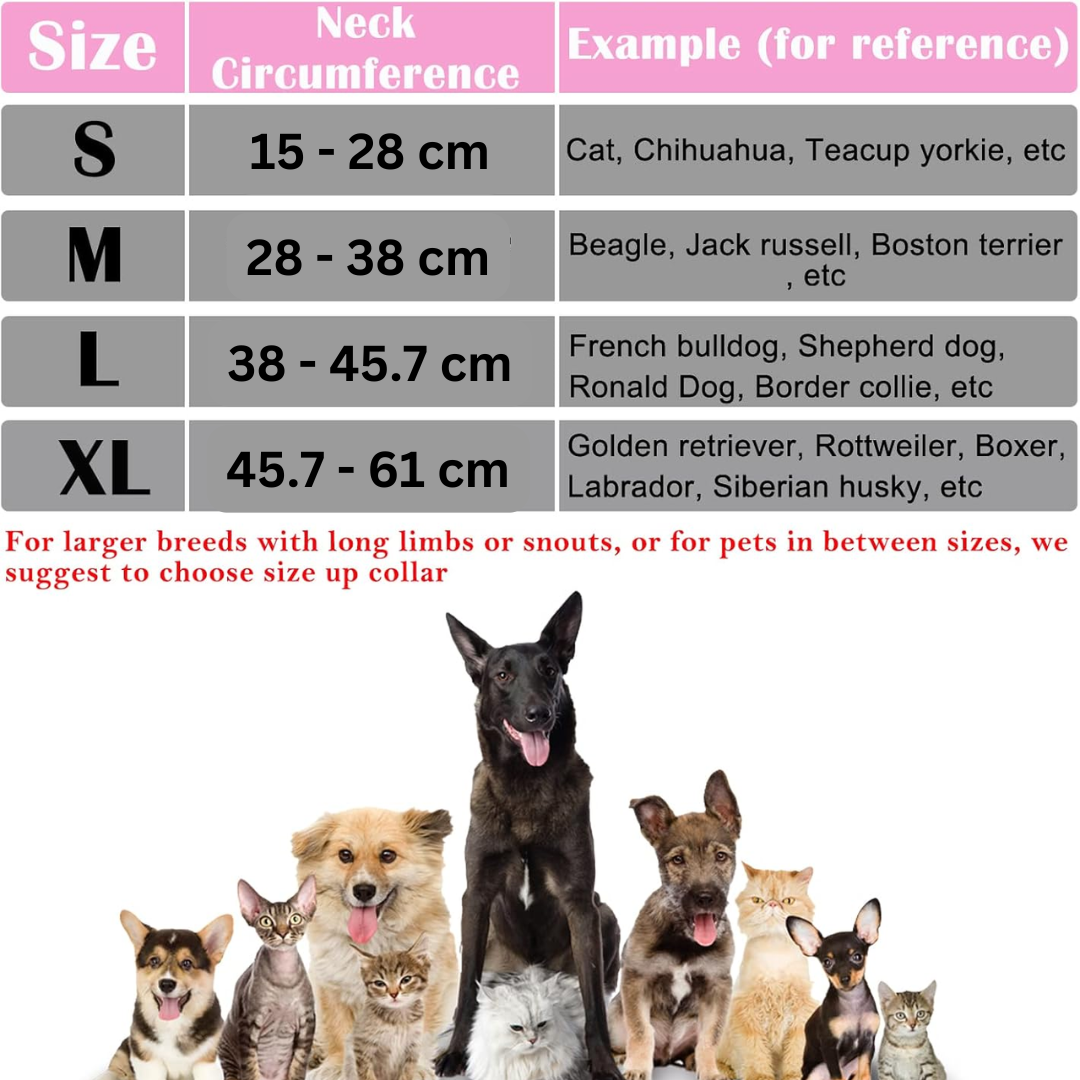 Inflatable dog cone alternative promoting post-surgery healing & pet comfort. Essential pet supplies.