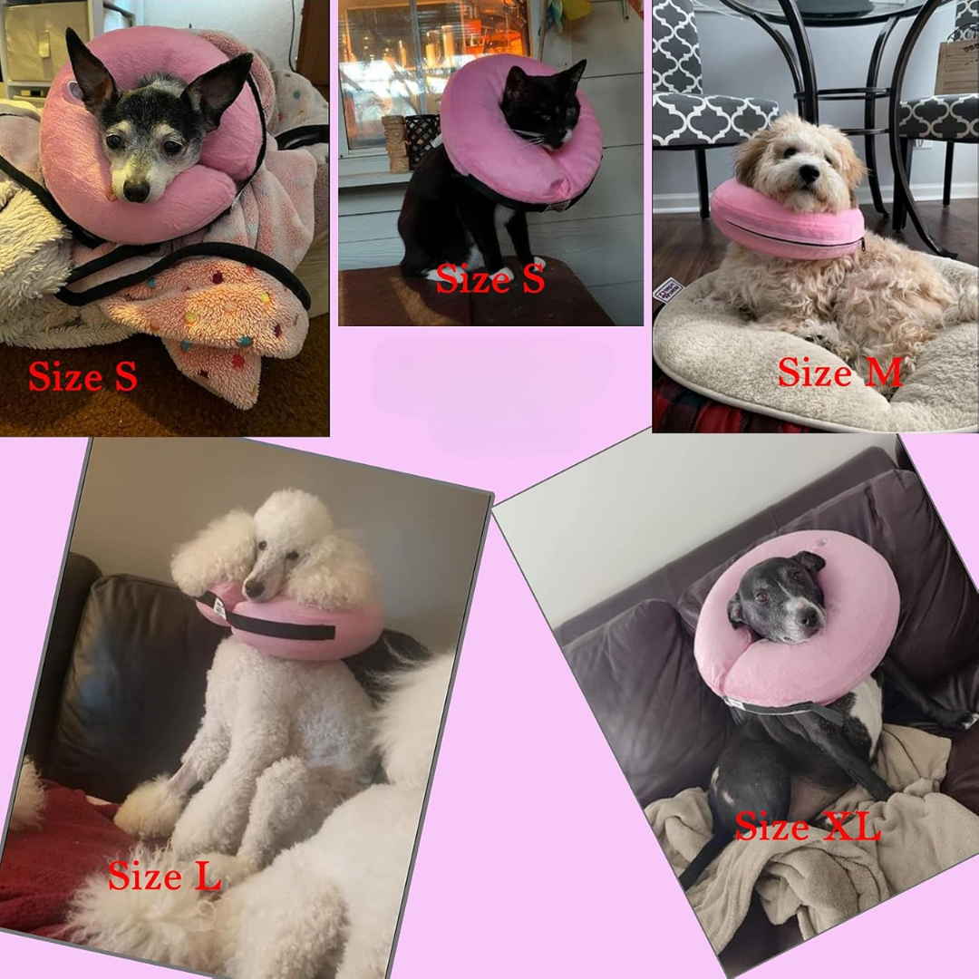 Plush inflatable recovery e-collar for dogs, designed for maximum comfort during post-surgery healing.