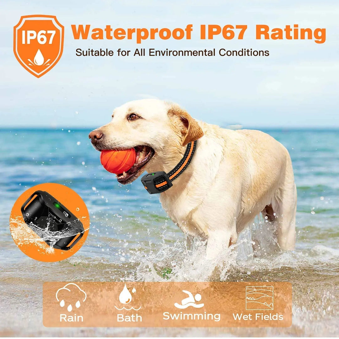 Premium electric e-collar for dog training. 3300ft remote control, waterproof design for obedience.