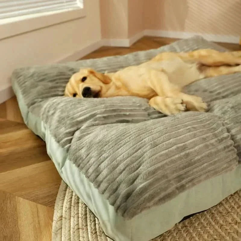 Soft plush light green orthopedic dog bed with bolsters, designed for joint support & cozy comfort.