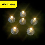 Warm White