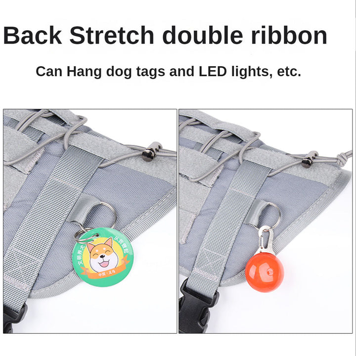 Large dog wearing a tactical walking harness, strong and adjustable for secure outdoor adventures & daily use.