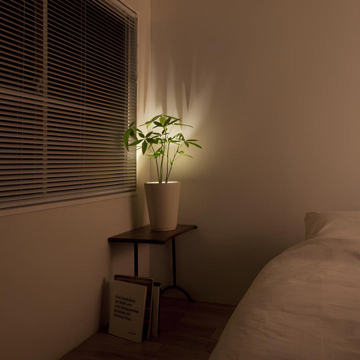Home decor wireless LED spotlight with remote & dimming for versatile accent lighting.