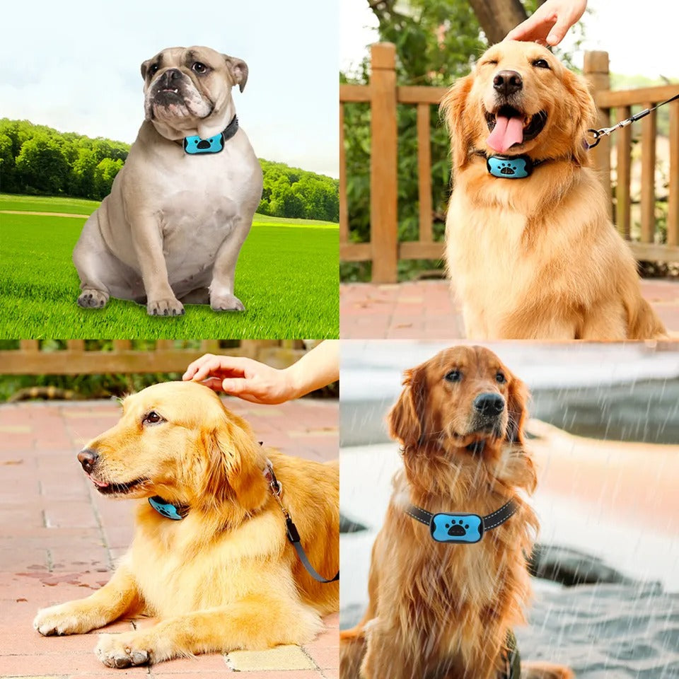 Premium humane anti-bark dog collar. Gentle pet training aid & effective bark control device for a quiet home.