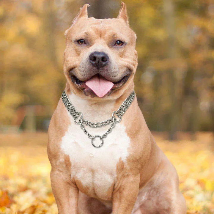 Strong, stainless steel choke collar for large dogs, ideal for effective dog training and pet supplies.