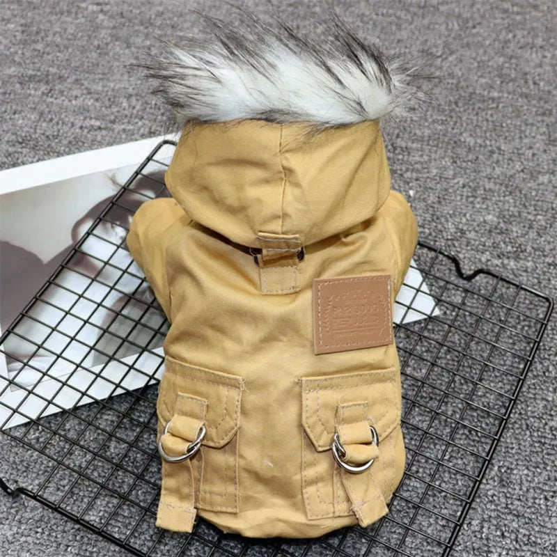 Happy dog wearing a warm PureFur winter coat, ready for outdoor adventures in cold weather.