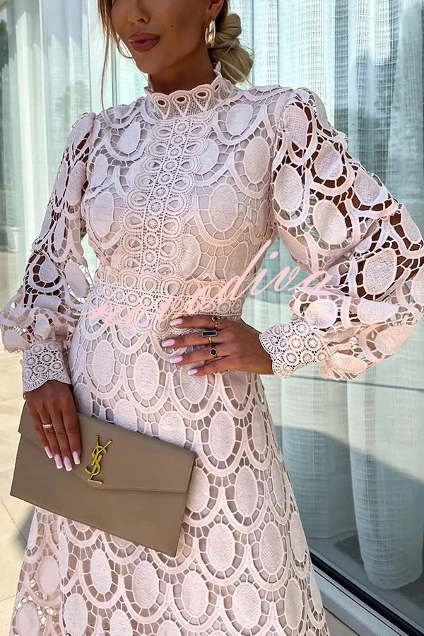 Graceful women's elegant long sleeve maxi dress. Sophisticated party wear evening gown for special occasions.