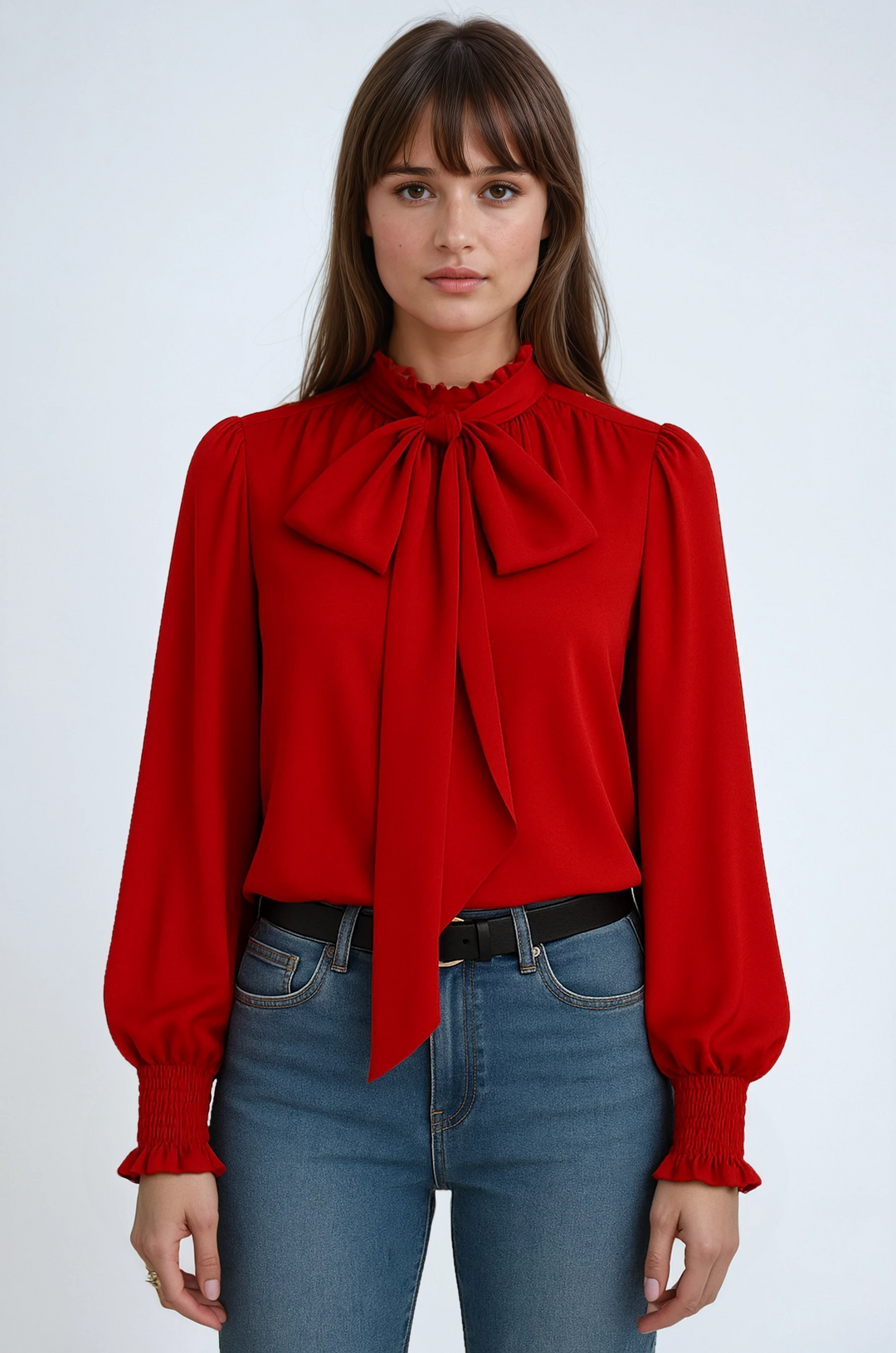 Elegant women's tie-neck long sleeve blouse, perfect for office or dressy occasions.
