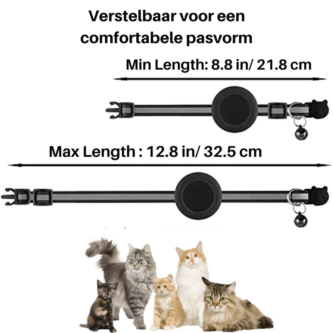 Essential cat supplies: Safety collar with quick release, reflective details, and GPS tracker pouch.