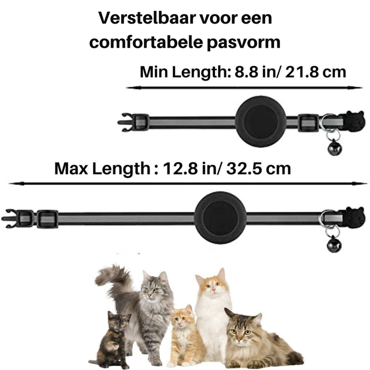 Essential cat supplies: Safety collar with quick release, reflective details, and GPS tracker pouch.