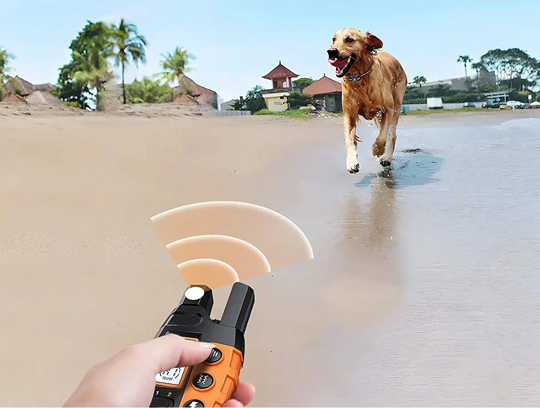 Long-range dog training collar with remote control, perfect for advanced obedience and behavior correction.