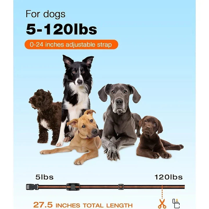 Complete dog training kit: waterproof collar, remote, and charger for effective pet obedience and supplies.