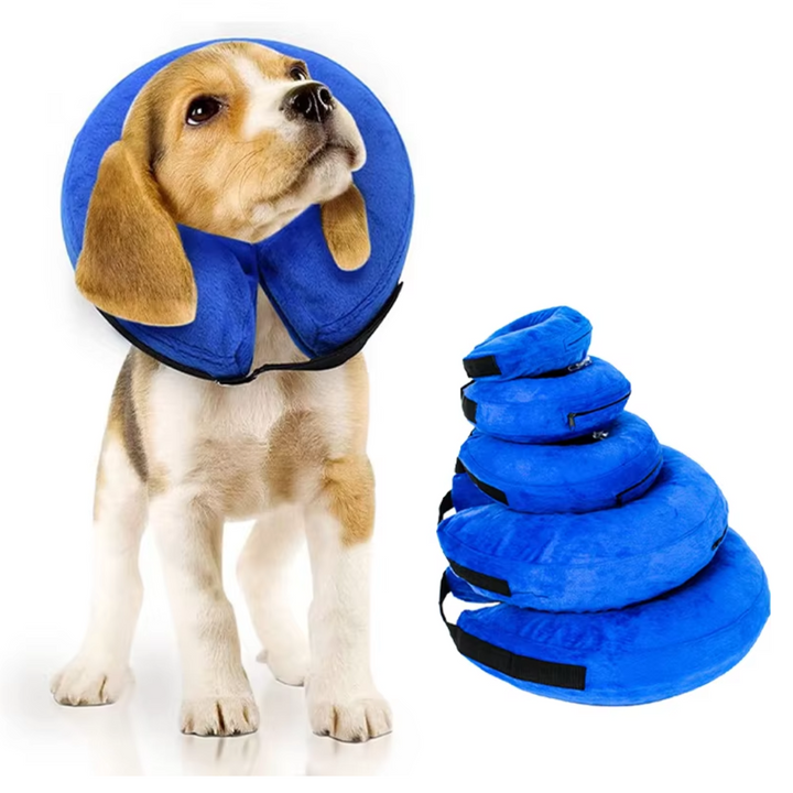 Dog inflatable recovery collar for post-surgery comfort. Soft e-collar alternative for pet care.