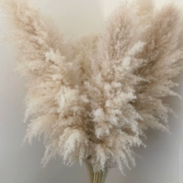 Dried pampas grass in a stylish vase, creating a natural boho focal point for modern interior design.