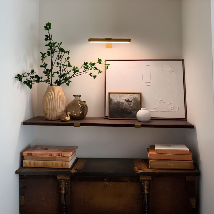 Adjustable wireless LED accent lamp, great for spotlighting art and various displays.