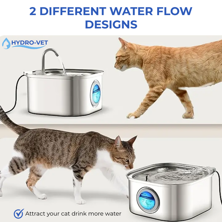 Automatic pet water fountain with multi-stage filtration for fresh, clean drinking water for pets.