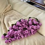 Purple Lily
