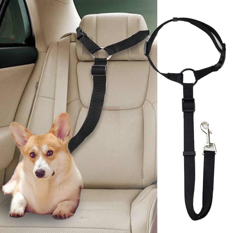 Secure pet auto leash. Adjustable dog restraint for car safety. Polypropylene pet gear for travel.