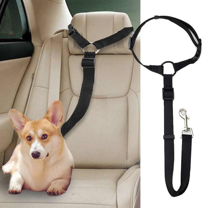 Secure pet auto leash. Adjustable dog restraint for car safety. Polypropylene pet gear for travel.