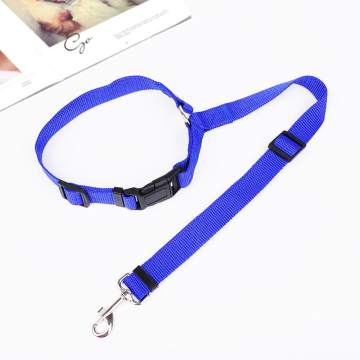 Durable polypropylene dog car safety leash, an adjustable pet restraint for safe auto travel.
