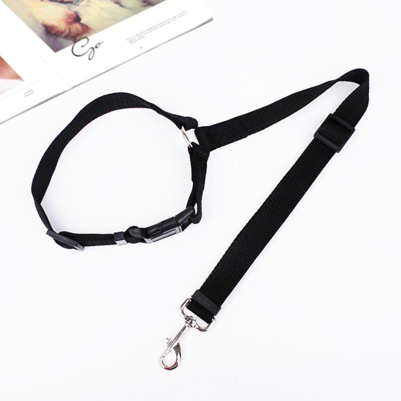 Secure & comfortable adjustable dog car leash, ensuring pet safety during vehicle rides.