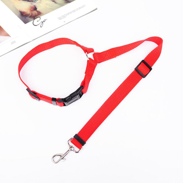 Essential adjustable dog travel leash, a reliable car safety pet restraint for secure journeys.