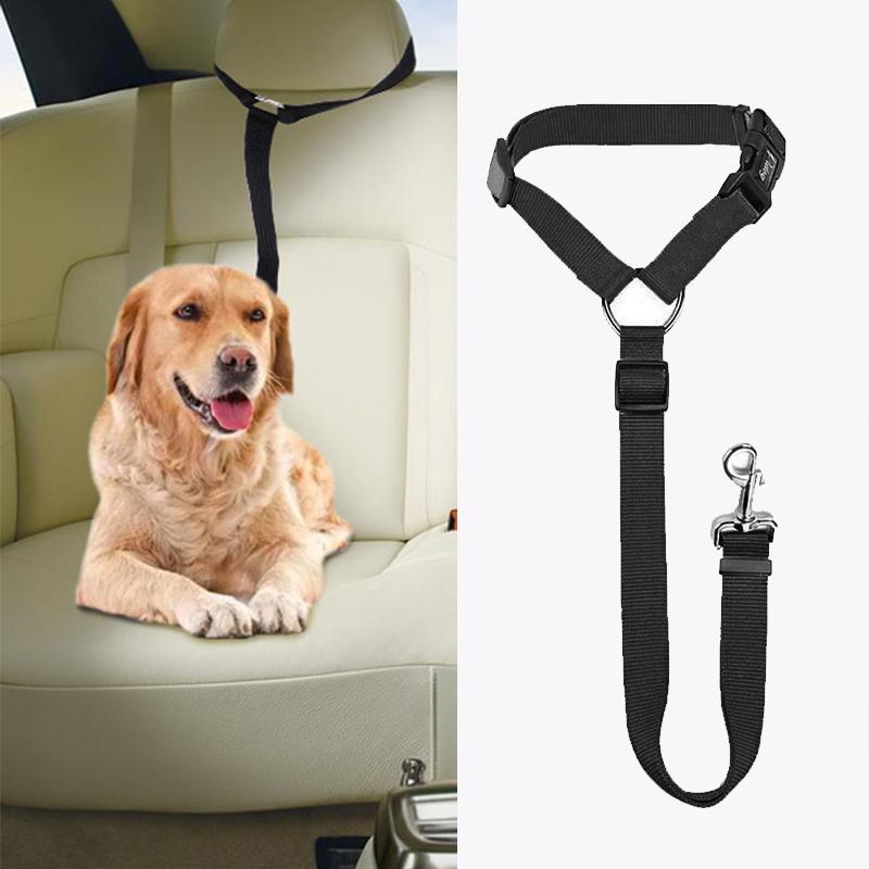 Premium pet gear: adjustable auto dog leash for car safety and secure pet travel.