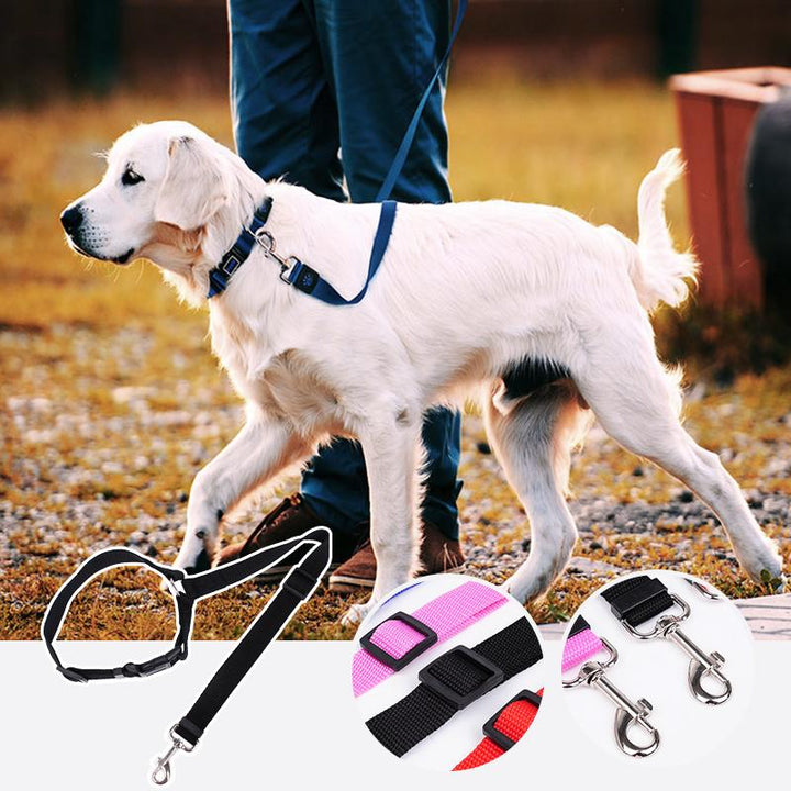 Keep your dog safe with this adjustable car safety leash, a secure pet restraint for all travels.