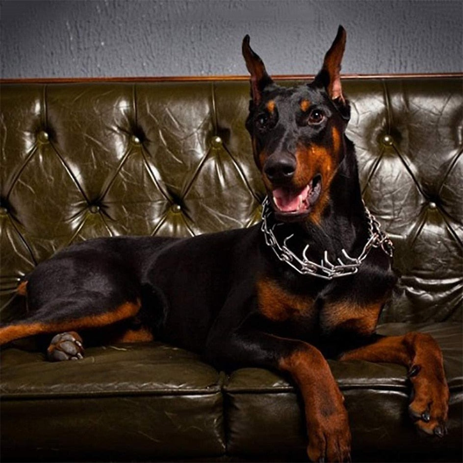 Adjustable dog collar providing secure, comfortable fit & improved leash control for training.