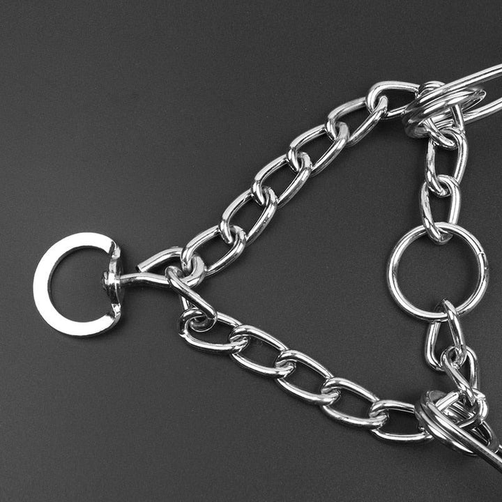Essential pet supplies: an adjustable dog training collar for behavior & secure leash control.