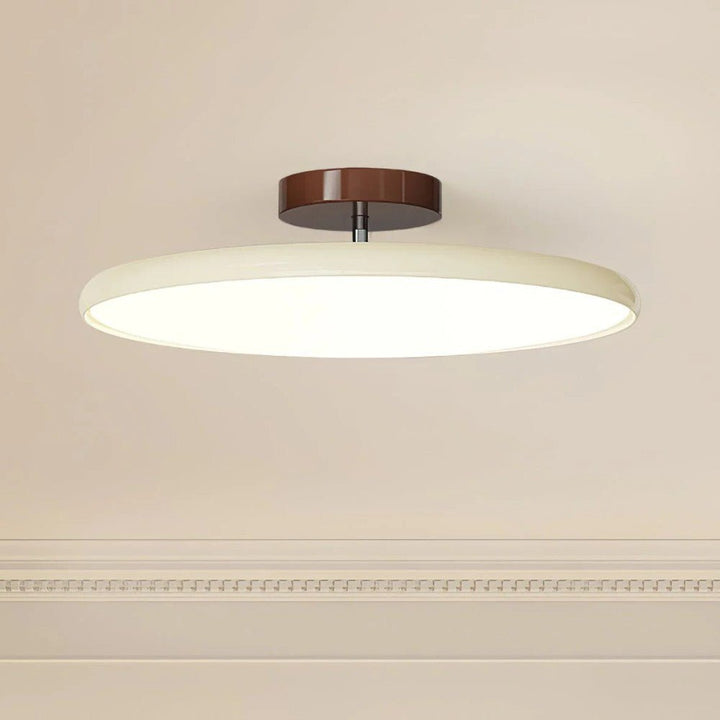 Modern green adjustable LED ceiling lamp, providing directional light for kitchens & bedrooms.