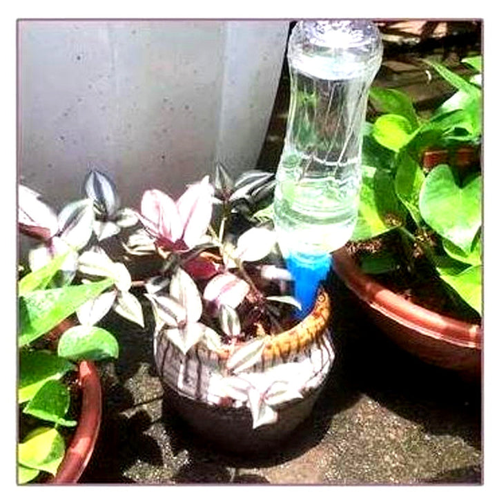 Adjustable drip watering spikes (12-pack) for easy indoor & outdoor plant care and garden hydration system.