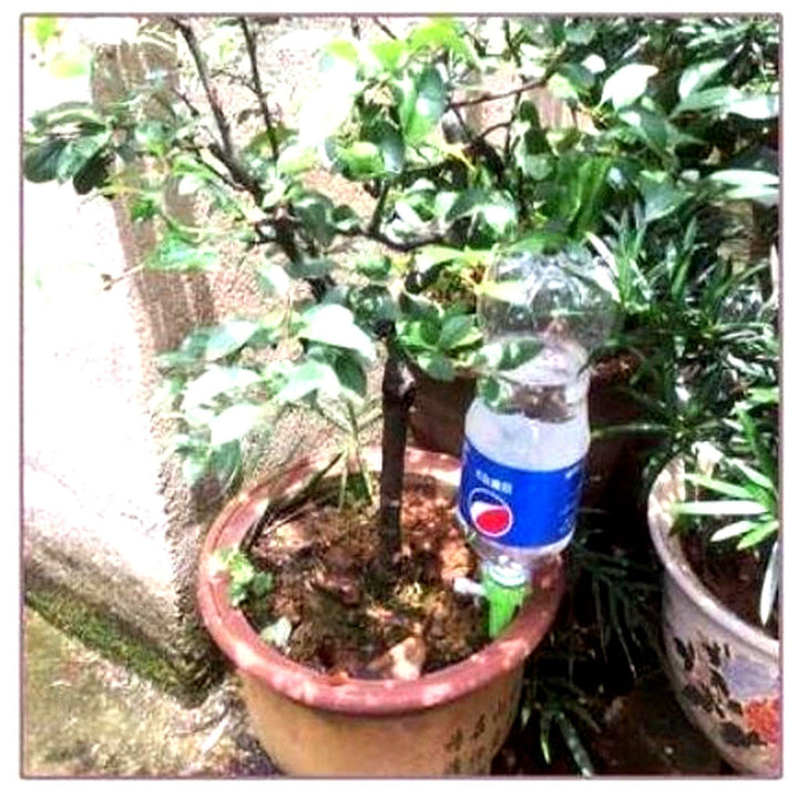 Convenient automatic plant watering spikes with adjustable flow for perfectly hydrated indoor and outdoor plants.