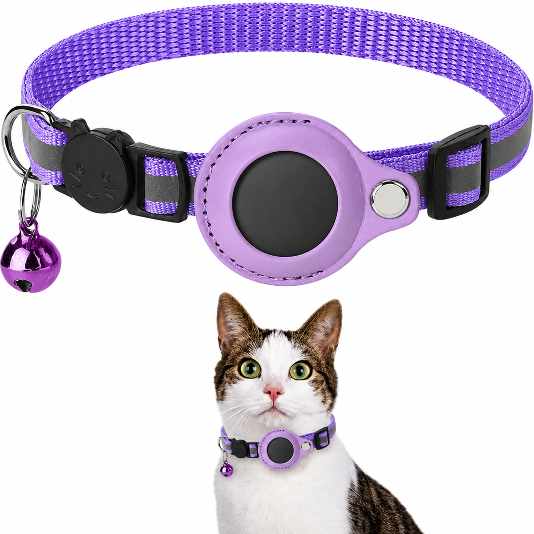 Pet tracking reflective collar with a secure GPS holder, ensuring your cat is safe.