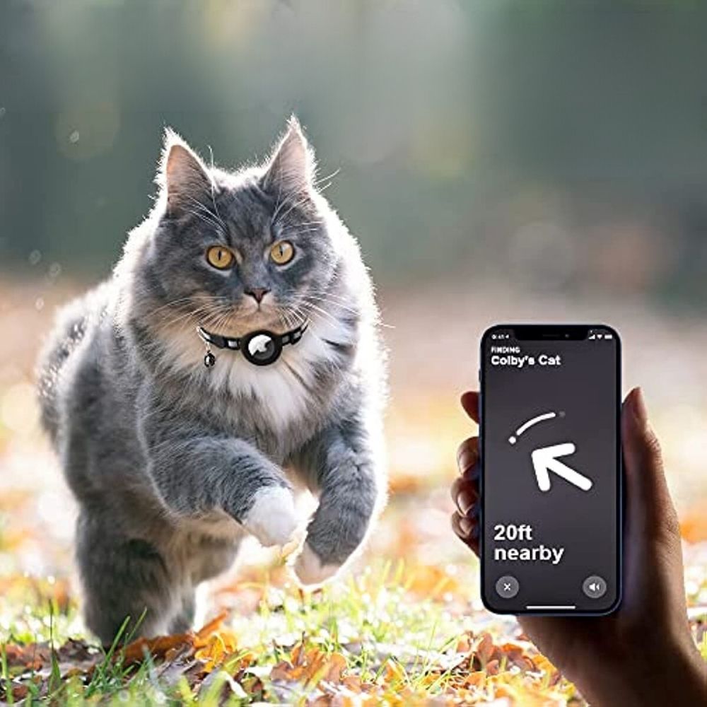 Adjustable quick release cat collar designed to securely hold a GPS tracker, ensuring safe adventures.
