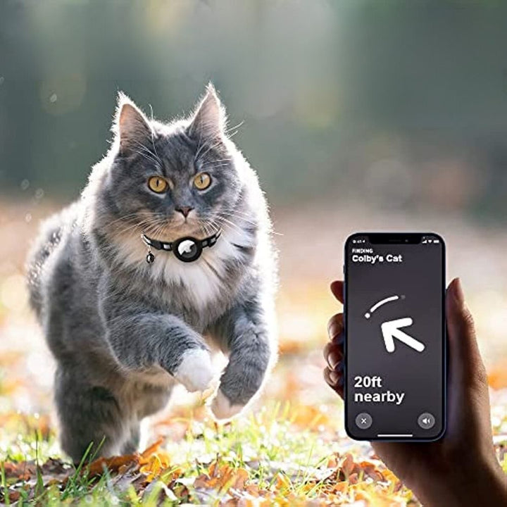 Adjustable quick release cat collar designed to securely hold a GPS tracker, ensuring safe adventures.