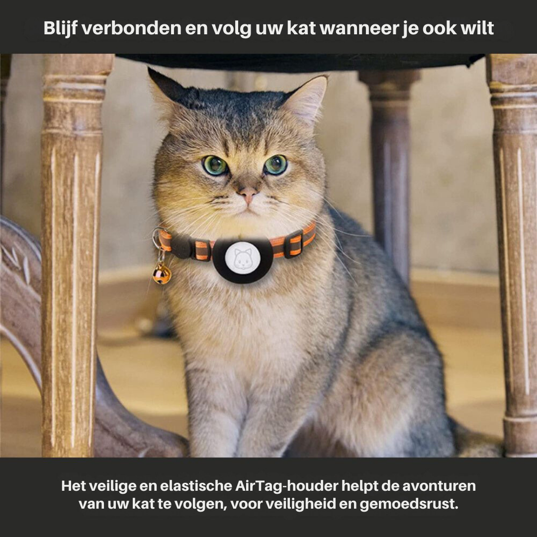 Durable cat collar featuring a GPS tracker holder and reflective material for improved visibility.