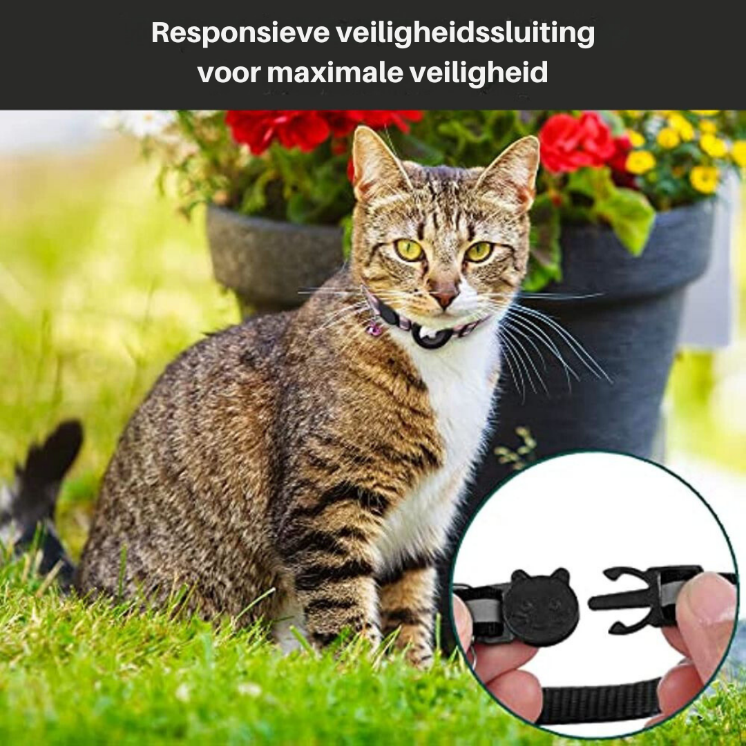 Bright reflective cat collar with a dedicated GPS tracker holder for enhanced pet safety at night.